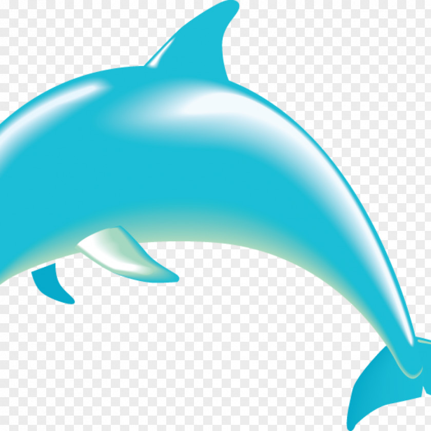 Dolphin Clip Art Clipartimage Vector Graphics Drawing Tucuxi PNG