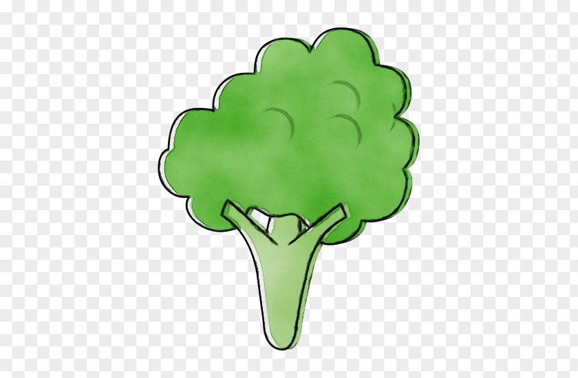 Food Vegetable Green Broccoli Cruciferous Vegetables Leaf PNG