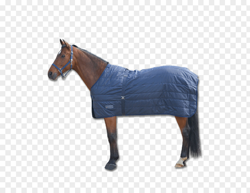 Horse Blanket Equestrian Rein PNG