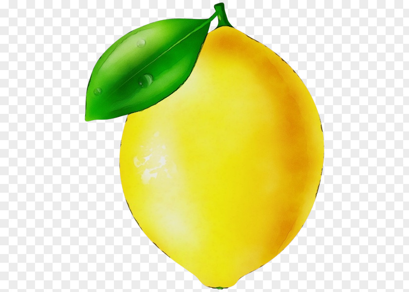 Lemon Yellow Citron Carambola Balloon PNG