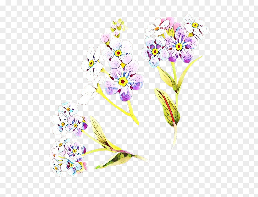 Wildflower Ixia Flowers Background PNG