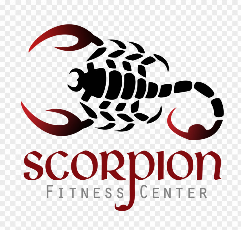 Design Logo Scorpio Graphic Brand Font PNG