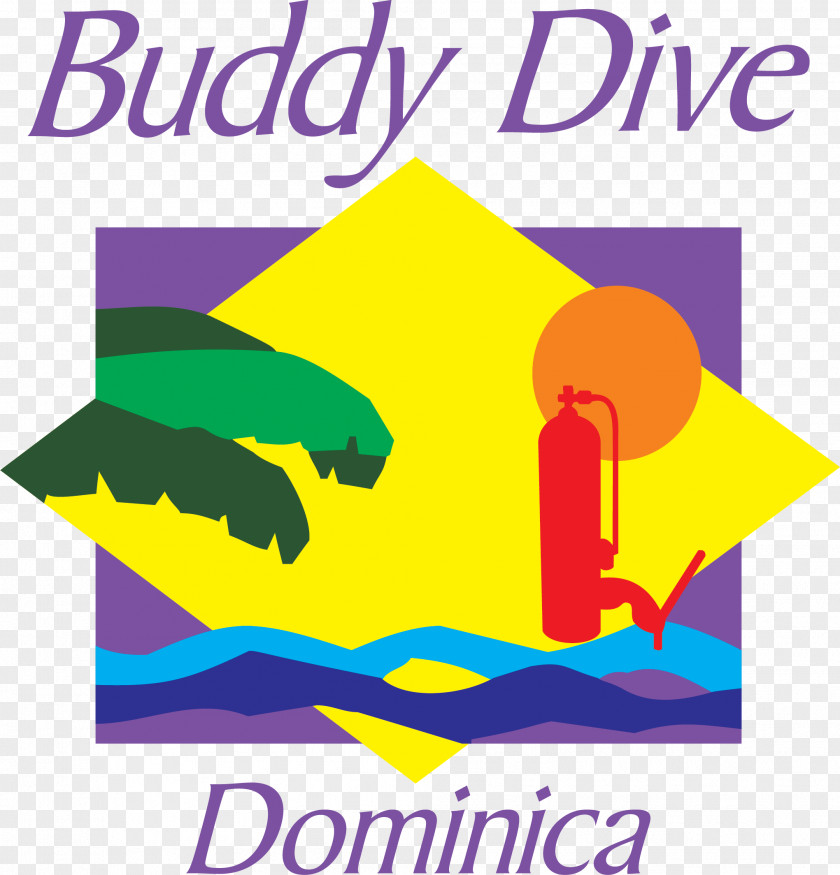 Diver Buddy Dive Resort Center Hotel Dominica PNG