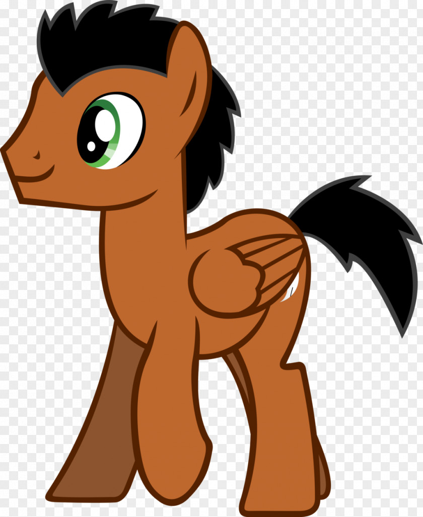 Mustang Pony Colt Cat Pack Animal PNG