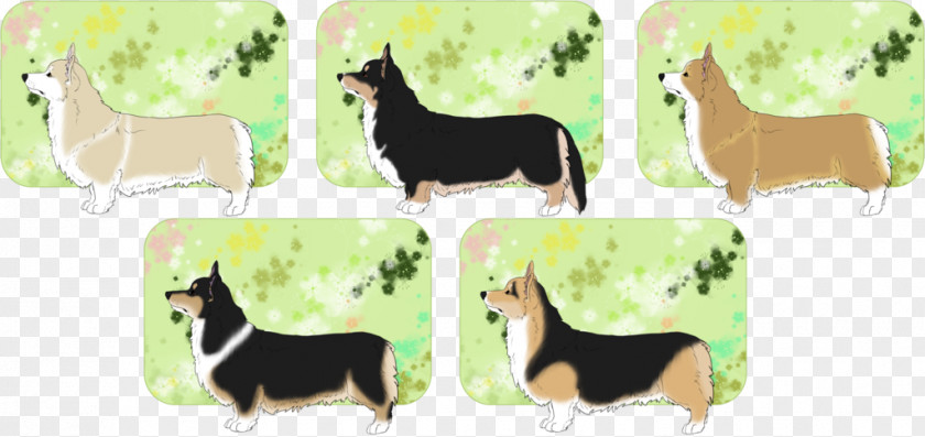 Pembroke Welsh Corgi Dog Breed Donkey Camel PNG