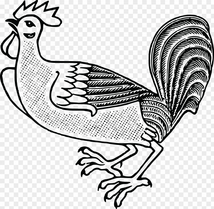 Rooster Chicken Bird Poultry Clip Art PNG