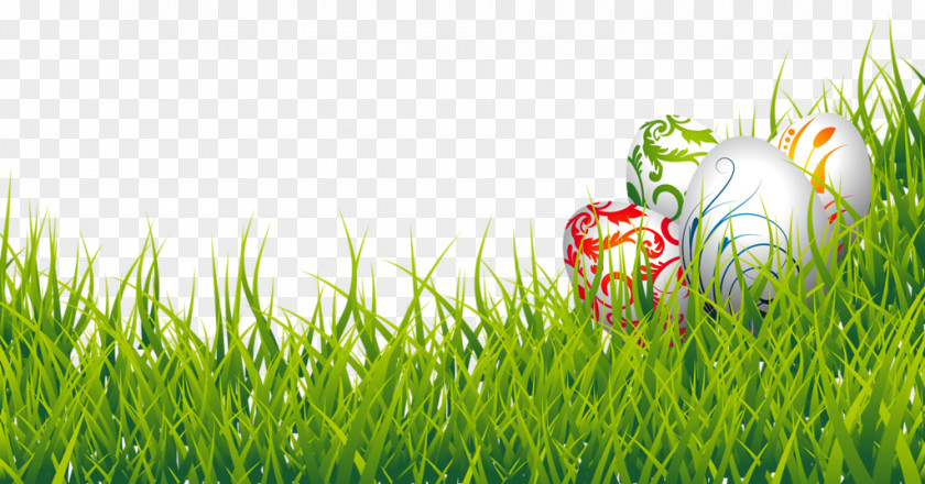 Floral Design Easter Eggs In Grass Bunny Egg Clip Art PNG