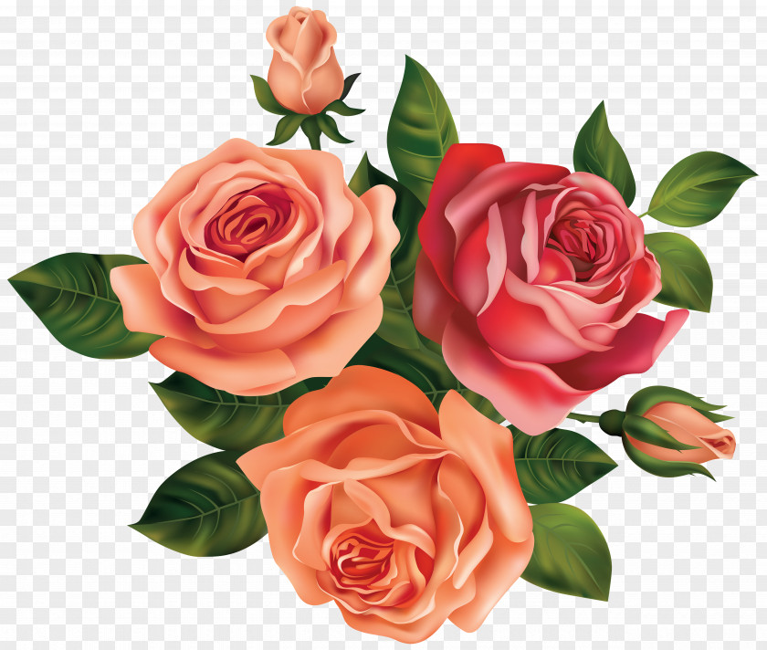 Beautiful Roses Clipart Image Rose Flower Clip Art PNG