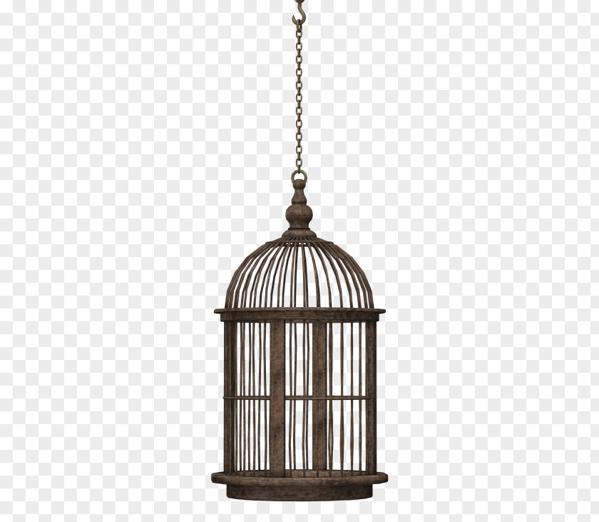 Bird Birdcage Domestic Canary PNG