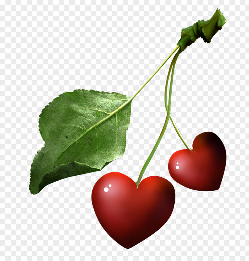 Cherry Sweet Image Peach PNG