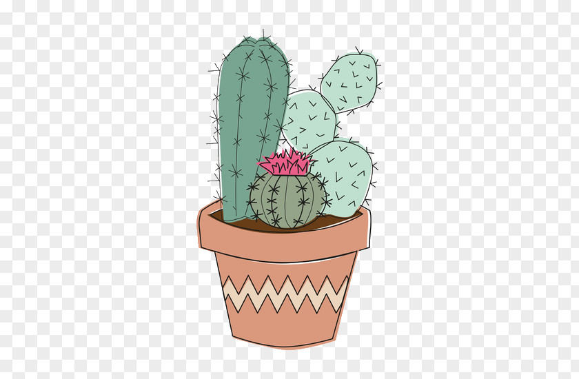Funny Cactus Cactaceae Tumblr Plant Drawing PNG