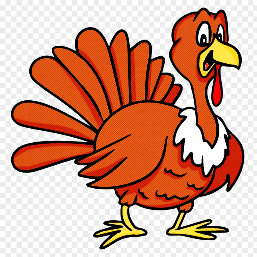 Livestock Cartoon Bird Chicken Beak Rooster PNG
