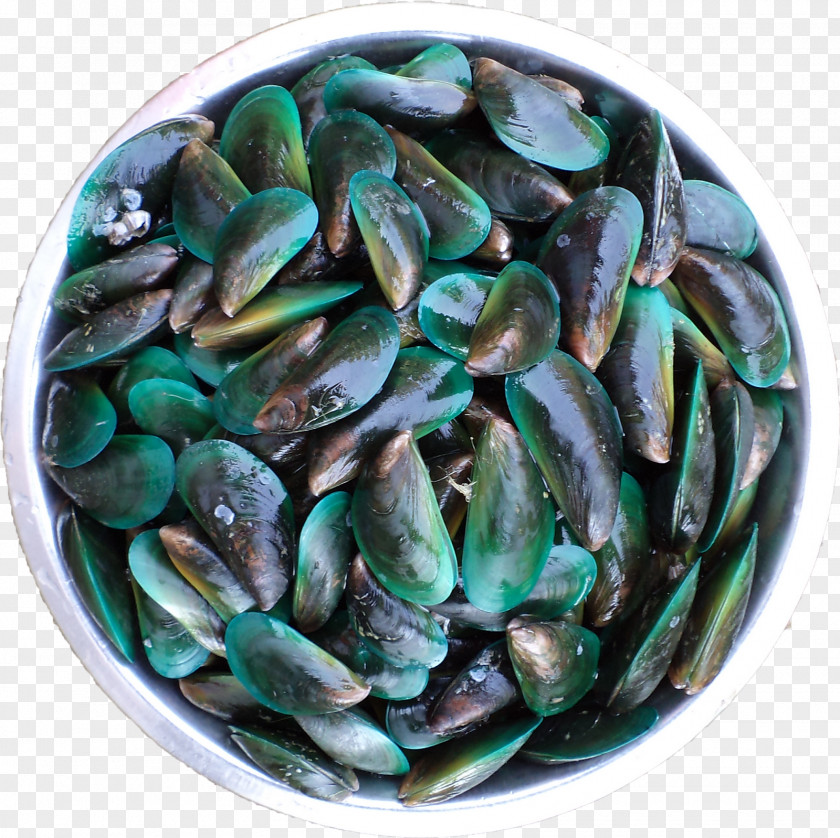 Mussels Mussel Clam Vegetarian Cuisine Food La Quinta Inns & Suites PNG