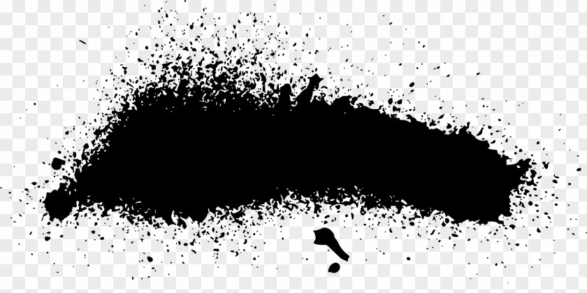 Paint Stroke Aerosol Black And White PNG