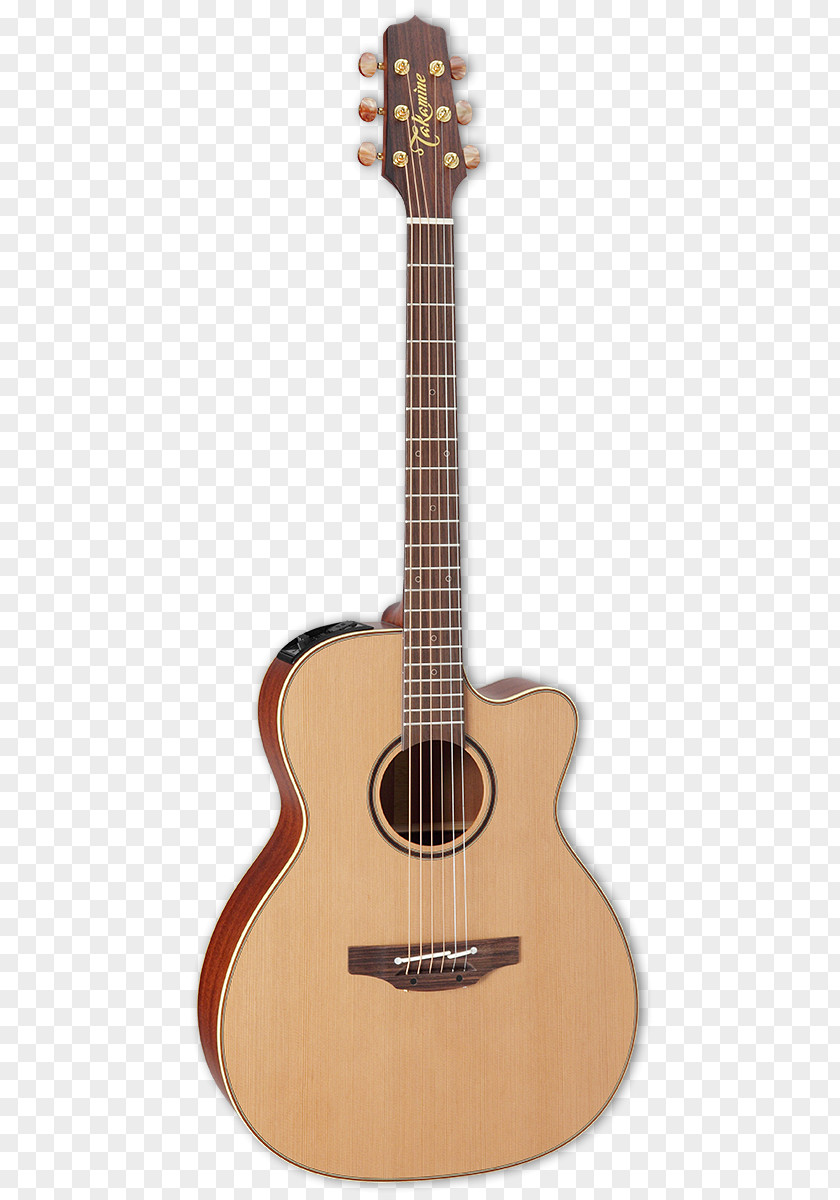 Acoustic Guitar Taylor Guitars Twelve-string Acoustic-electric PNG