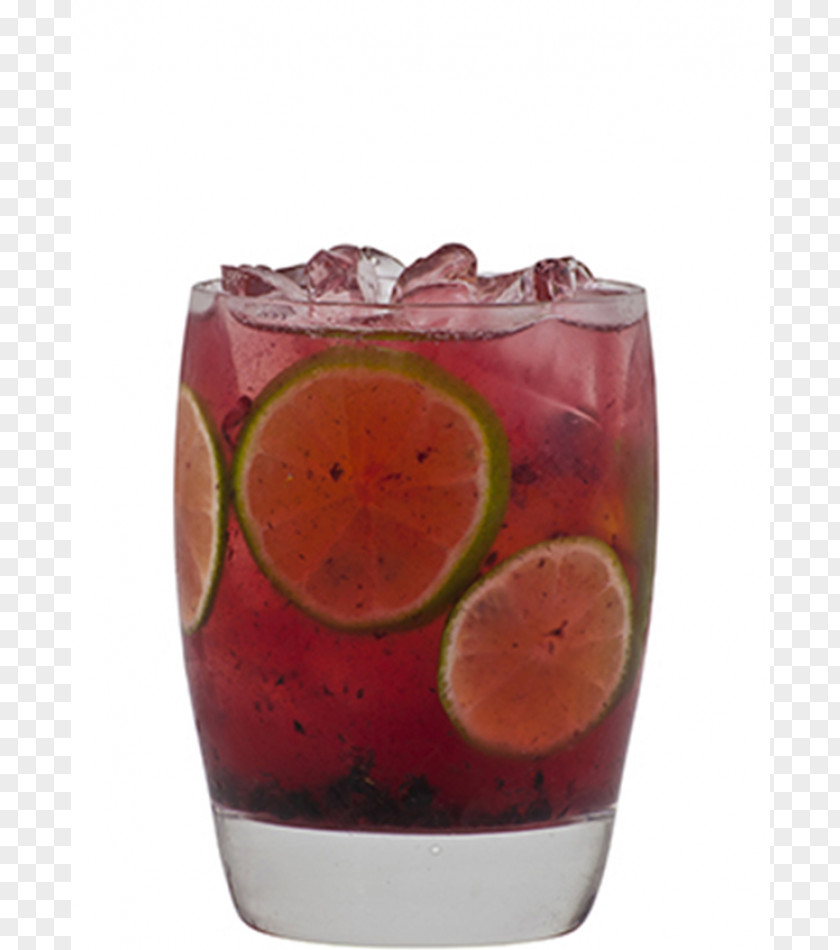 Cocktail Bay Breeze Gin And Tonic Sea Garnish PNG