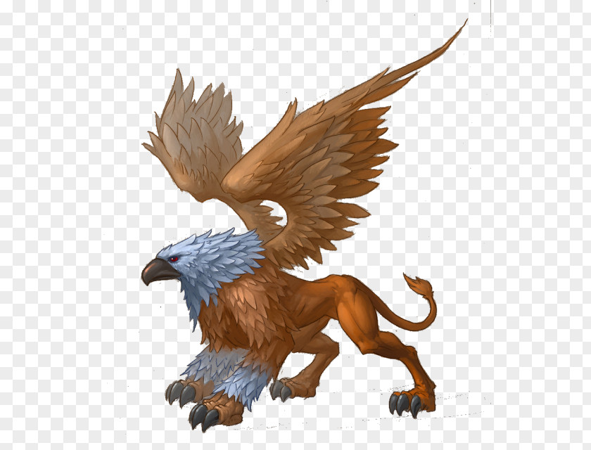 Griffin Legendary Creature Mythology Lion Dragon PNG