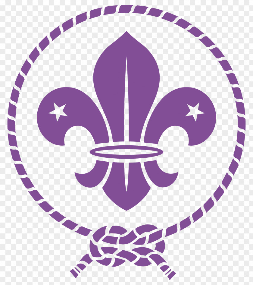 Scouting For Boys World Scout Emblem Organization Of The Movement Fleur-de-lis PNG