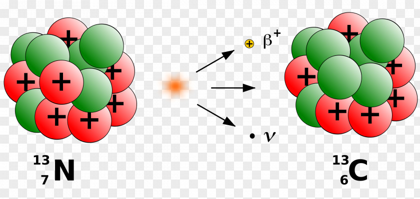 Beta Decay Physics Neutrino Radioactive Decadimento PNG