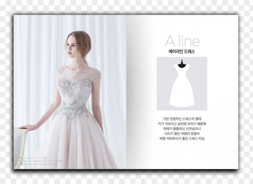 Bride Wedding Dress (사단)한국웨딩플래너협회 PNG