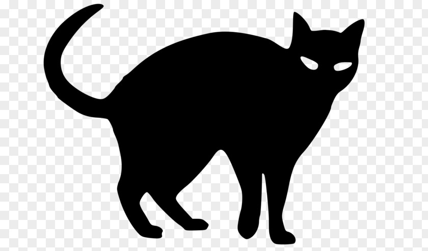 Kitten Black Cat Snowshoe Clip Art PNG