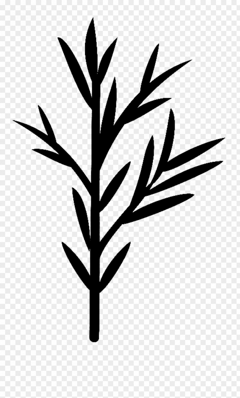 Plant Stem Leaf Flower Font Commodity PNG
