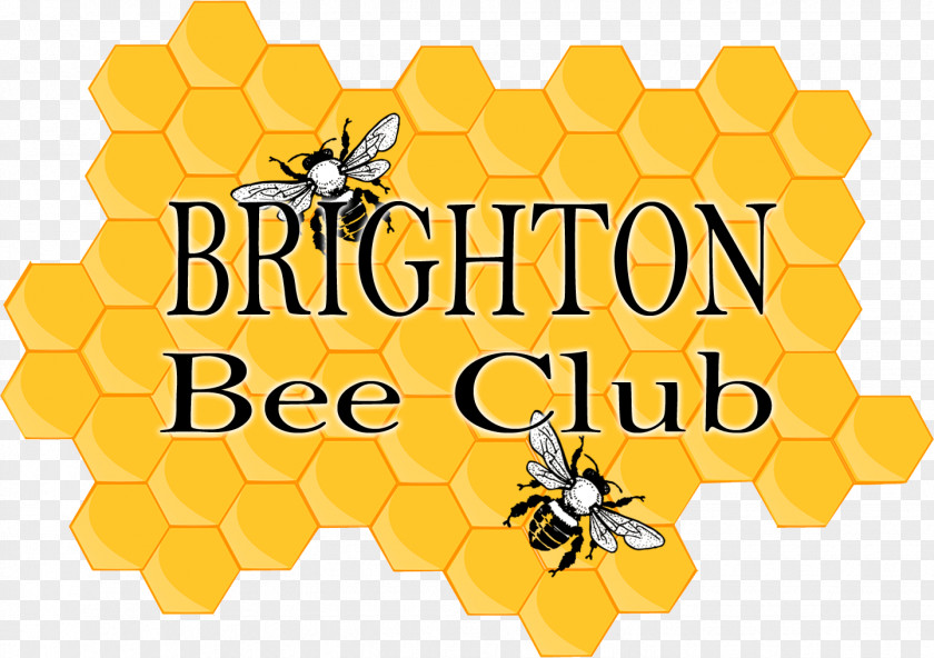 Bee Honey Honeycomb In Da Club PNG