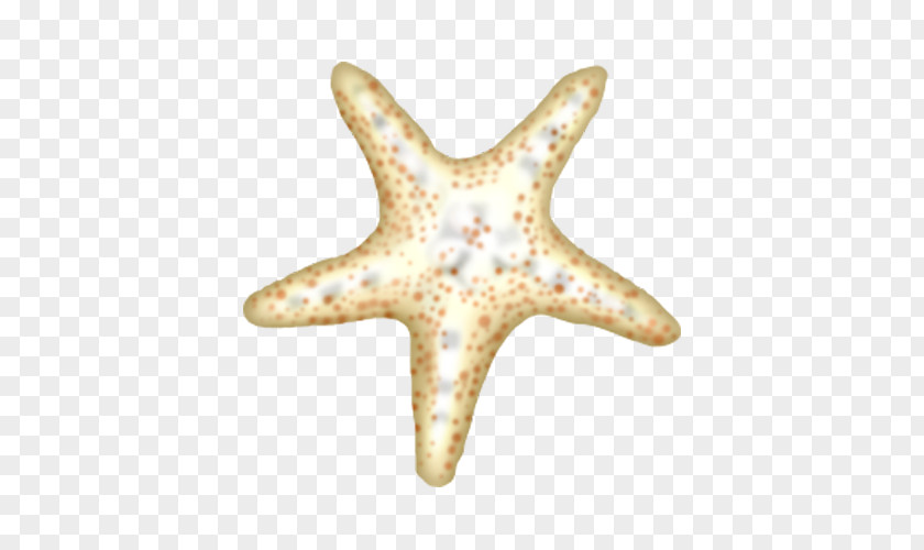 Cartoon Spotted Starfish PNG