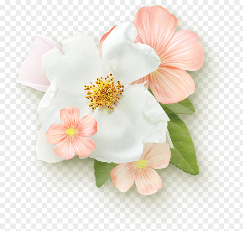 Flower Floral Design Throw Pillows Garden Roses Pink PNG