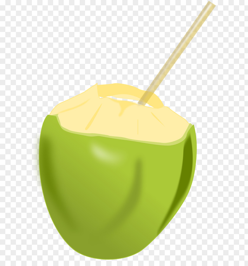 Free Vector Trees Coconut Water Arecaceae Clip Art PNG
