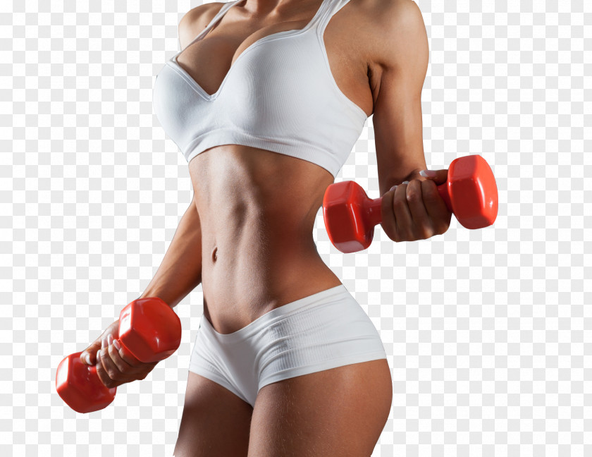Girls Holding Barbell Bodybuilding Physical Fitness Exercise Dumbbell PNG