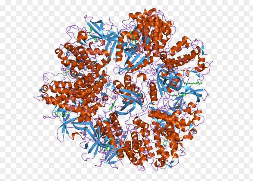 MAPKAPK2 Mitogen-activated Protein Kinase PNG