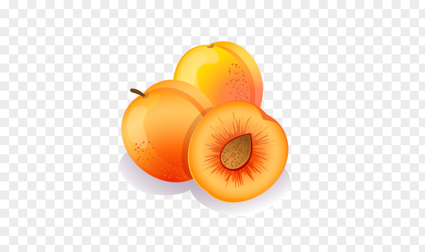 Delicious Peaches Euclidean Vector Peach Photography Illustration PNG