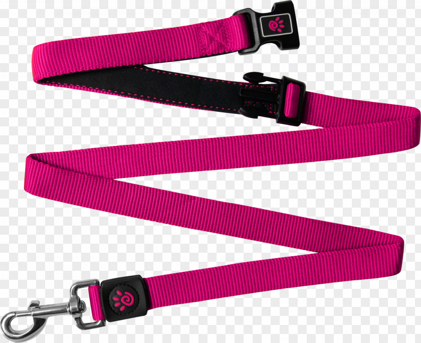 Dog Leash Nylon Strap Customer Review PNG