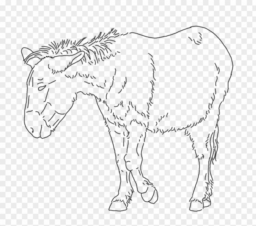 Donkey Drawing Mule Mustang Mane Halter PNG