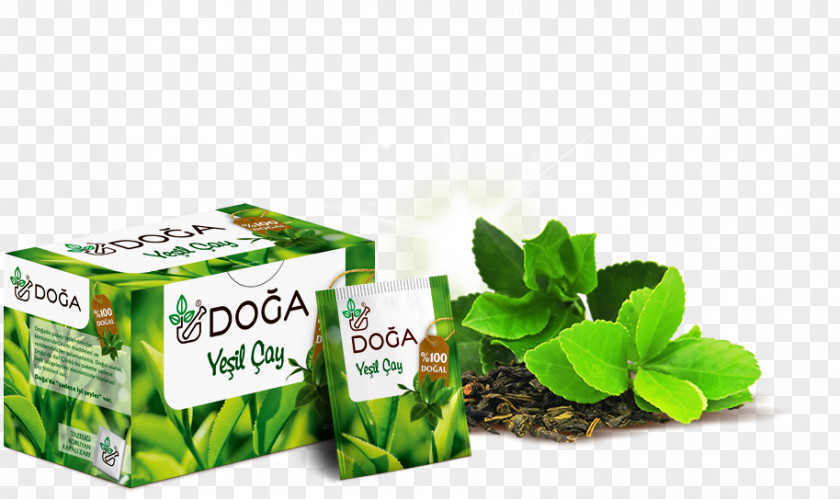Green Tea Herb Cream Ingredient PNG