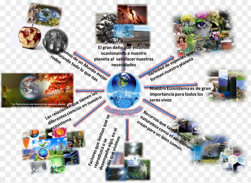 Natural Environment Sustainable Development Ecology Sustainability Map PNG
