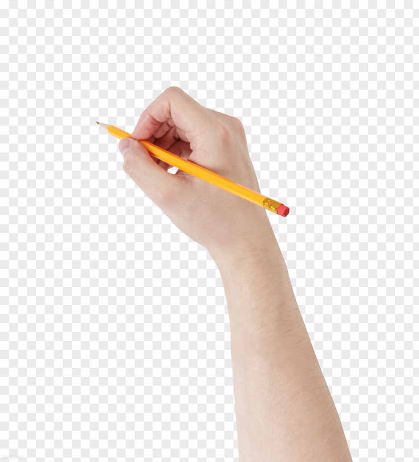 Pencil Stock Photography The Drawing PNG