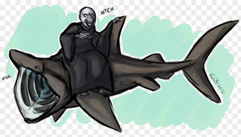 Shark Week Basking Drawing Lord Shen PNG