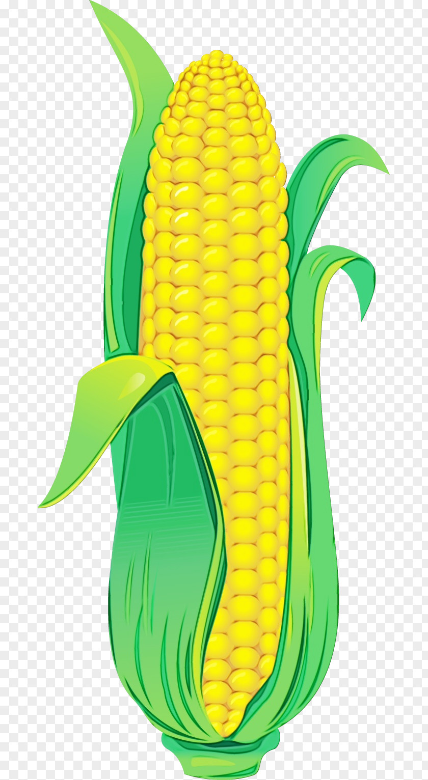 Vegetable Shoe Corn On The Cob Green Yellow Sweet PNG