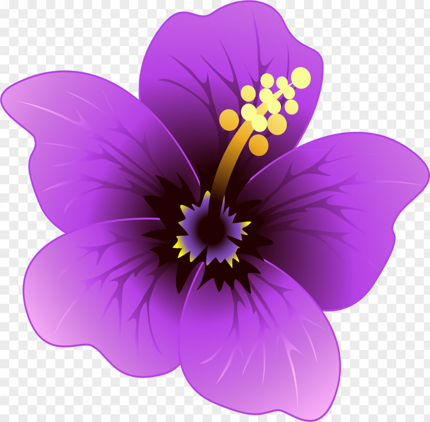 Purple Violet Flower Lilac PNG