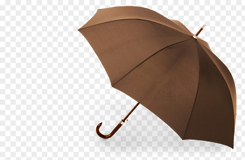 Travel Insurance Umbrella Promotion Handle Shade PNG