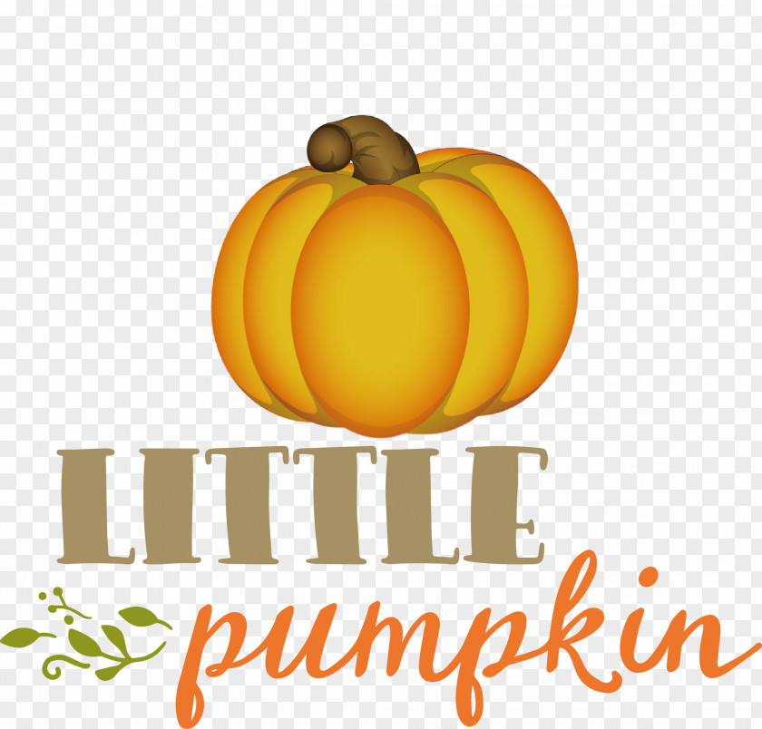 Little Pumpkin Thanksgiving Autumn PNG