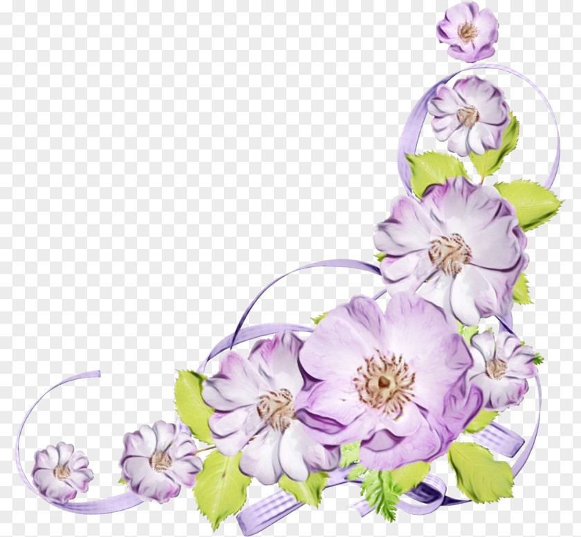 Magnolia Family Wildflower Watercolor Flower Border PNG
