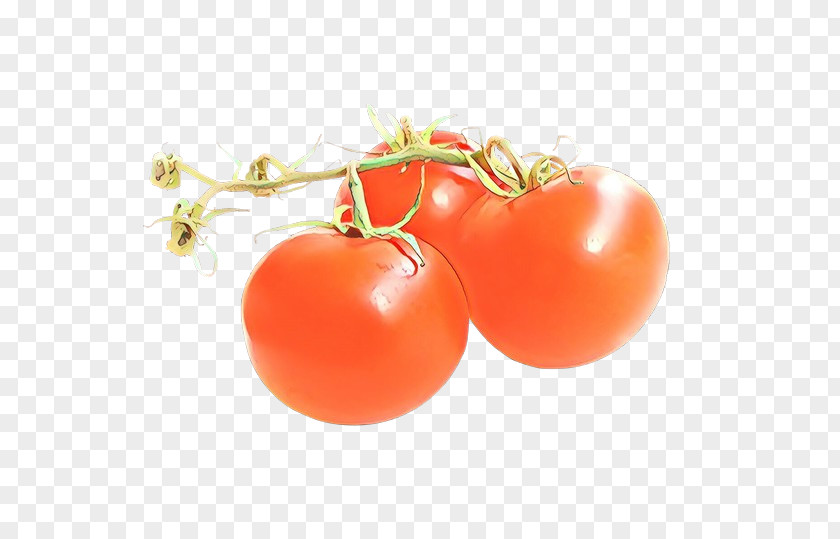 Plant Food Tomato PNG