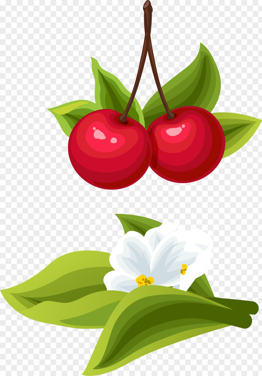 Vector Hand-painted Cherry Cartoon Clip Art PNG