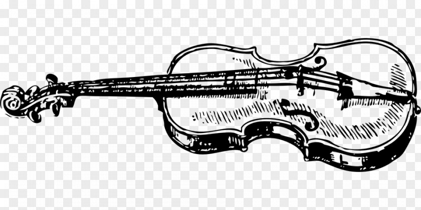 Violin Fiddle Double Bass Clip Art PNG