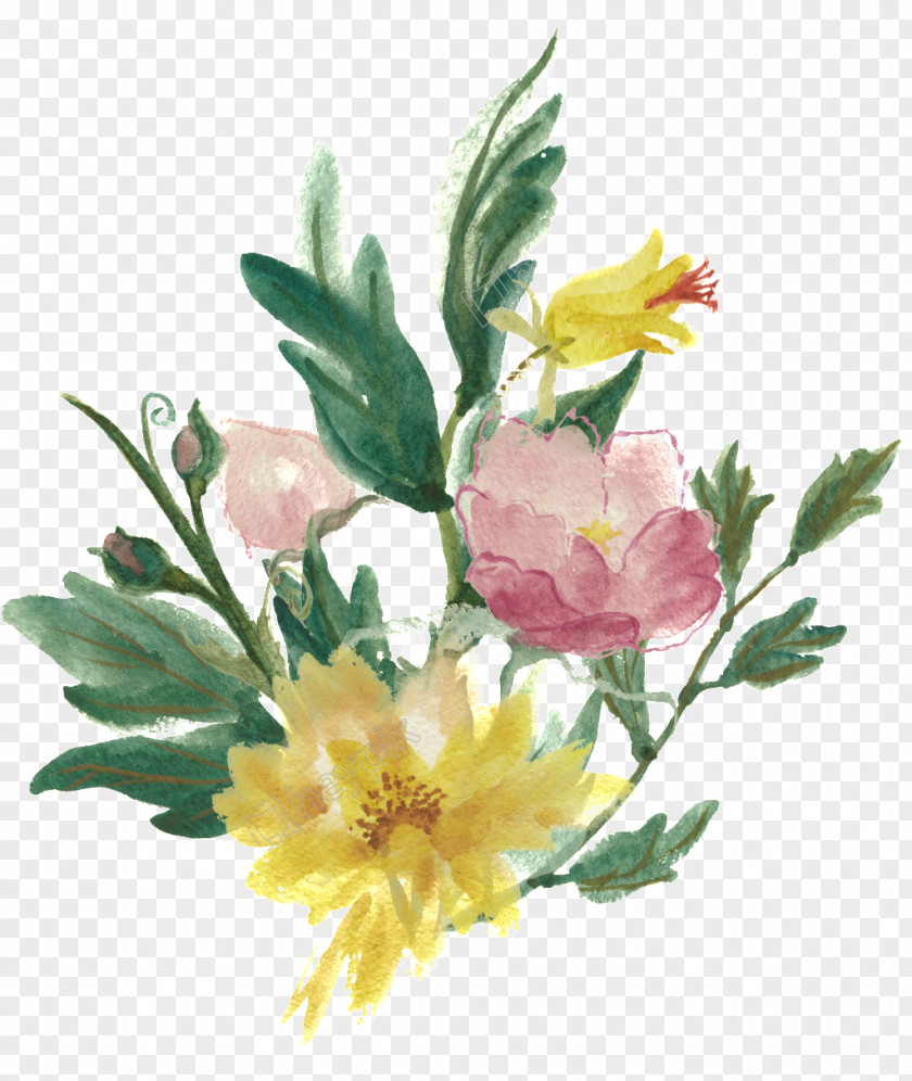 Watercolor Flower Borderround Painting Illustration Floral Design Image PNG