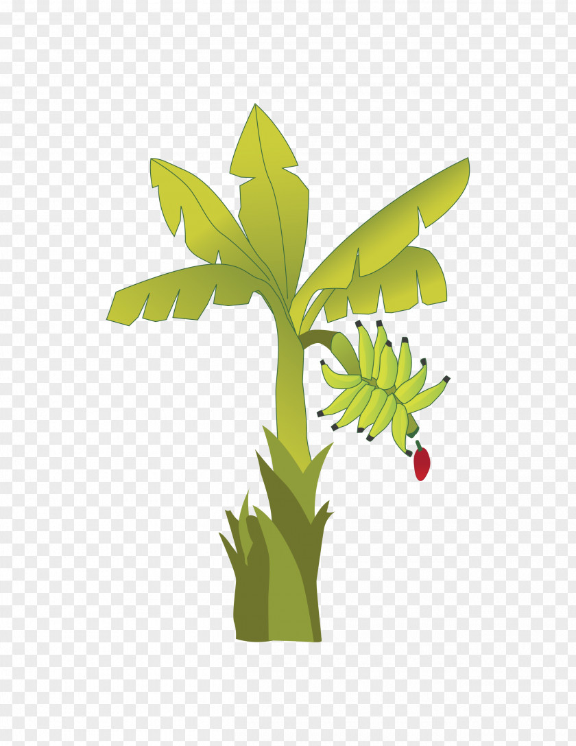 Banana Plant Stem Musa × Paradisiaca Theobroma Cacao PNG