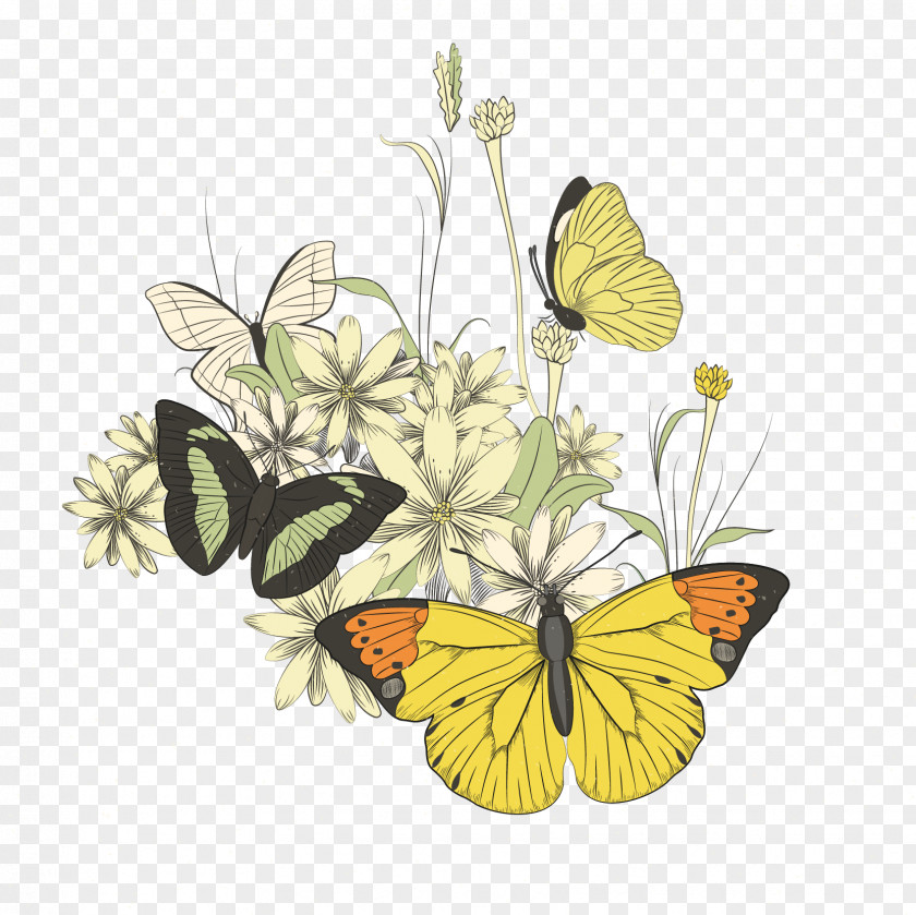 Butterfly Monarch Illustration PNG